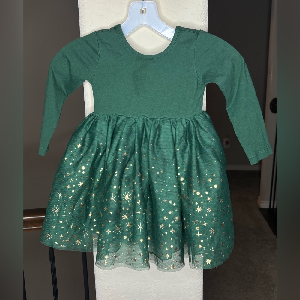 Hanna Andersson Long Sleeve Tulle Shimmer Dress Size 3T in Ponderosa Green